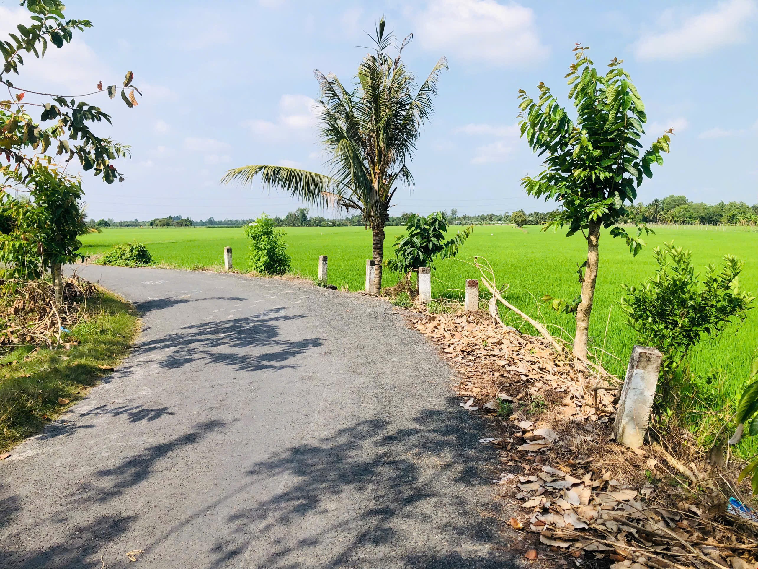 CAN THO BIKE TOUR 15-18KM