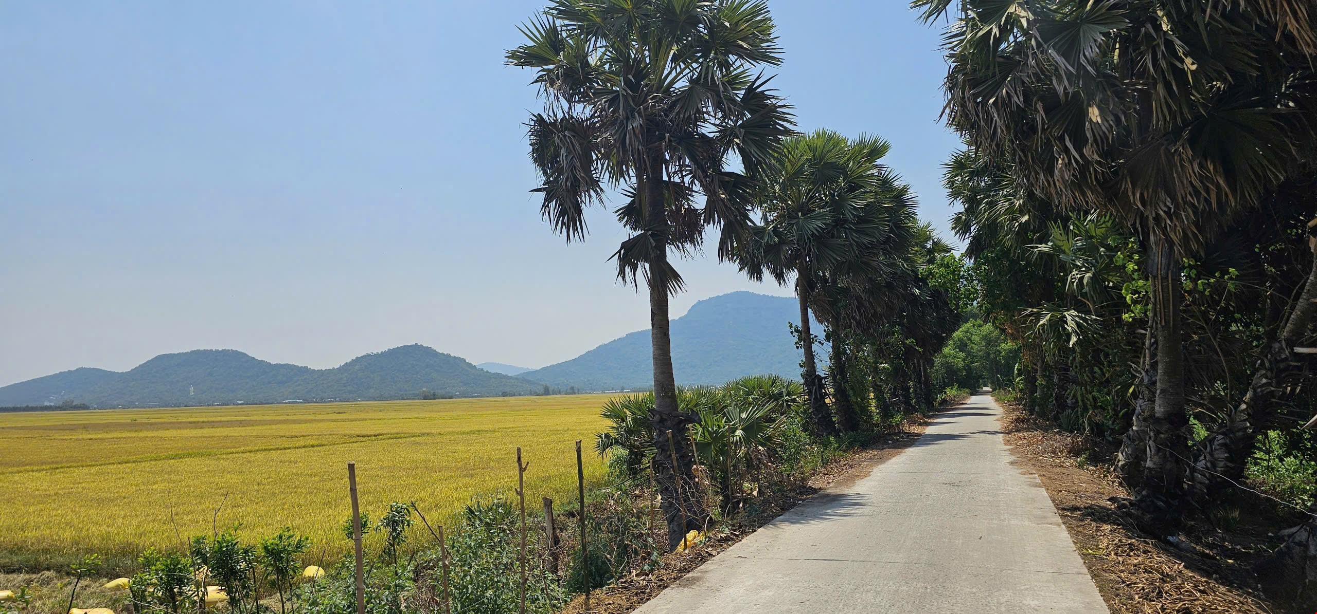 MEKONG BIKE TOUR