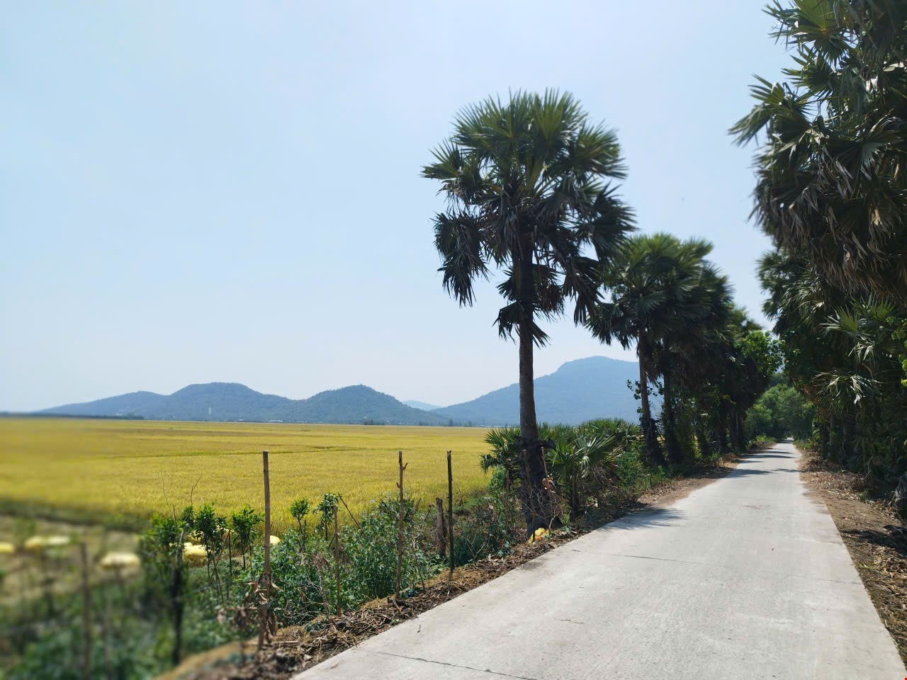 CHAU DOC - LONG XUYEN BIKING 70KM