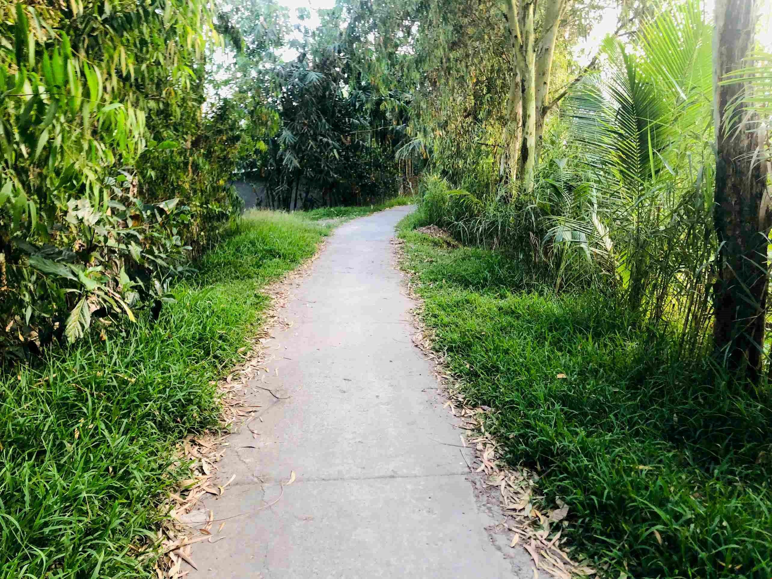 WALKING SCENIC VIEW