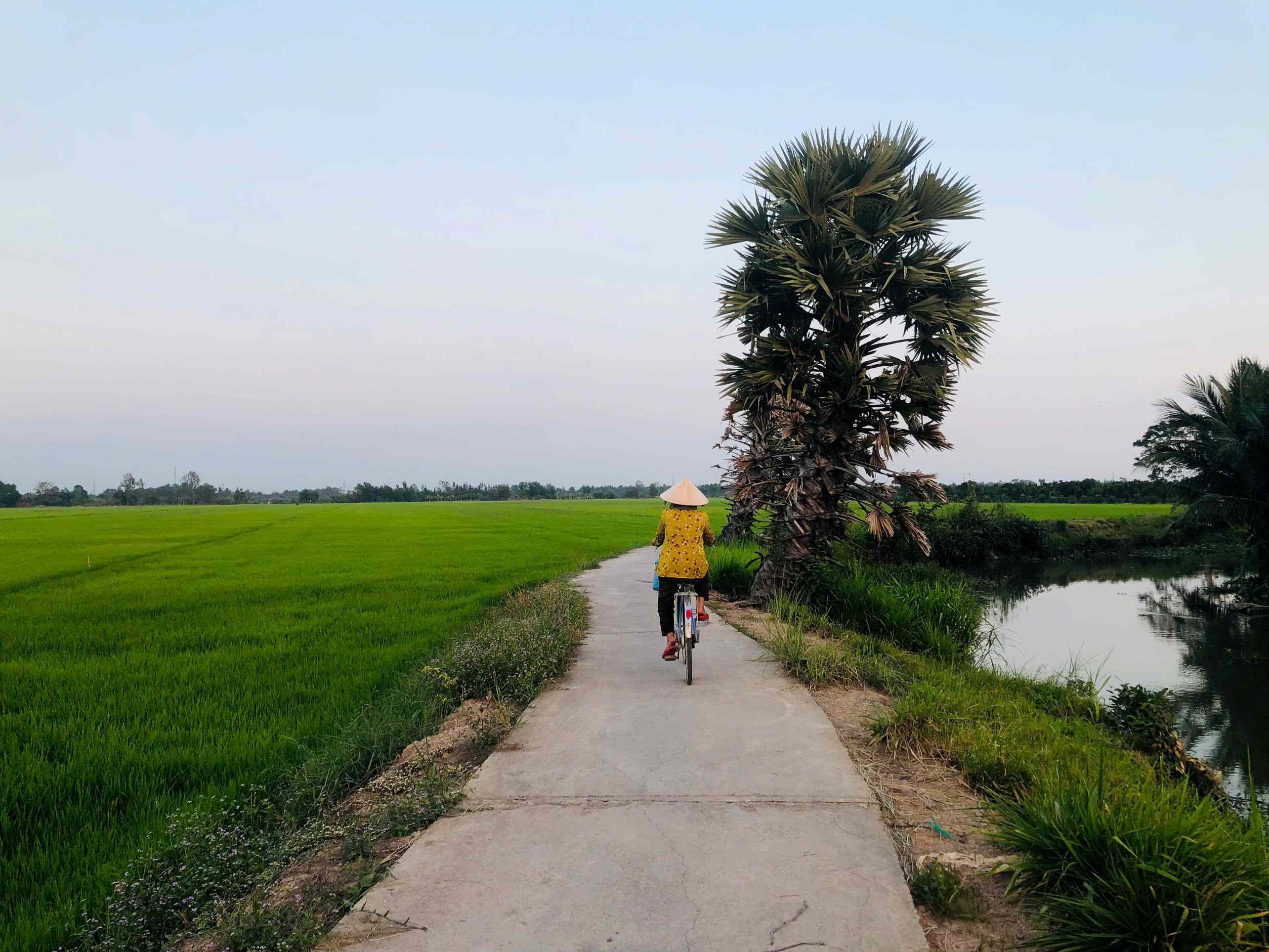 WALKING SCENIC VIEW