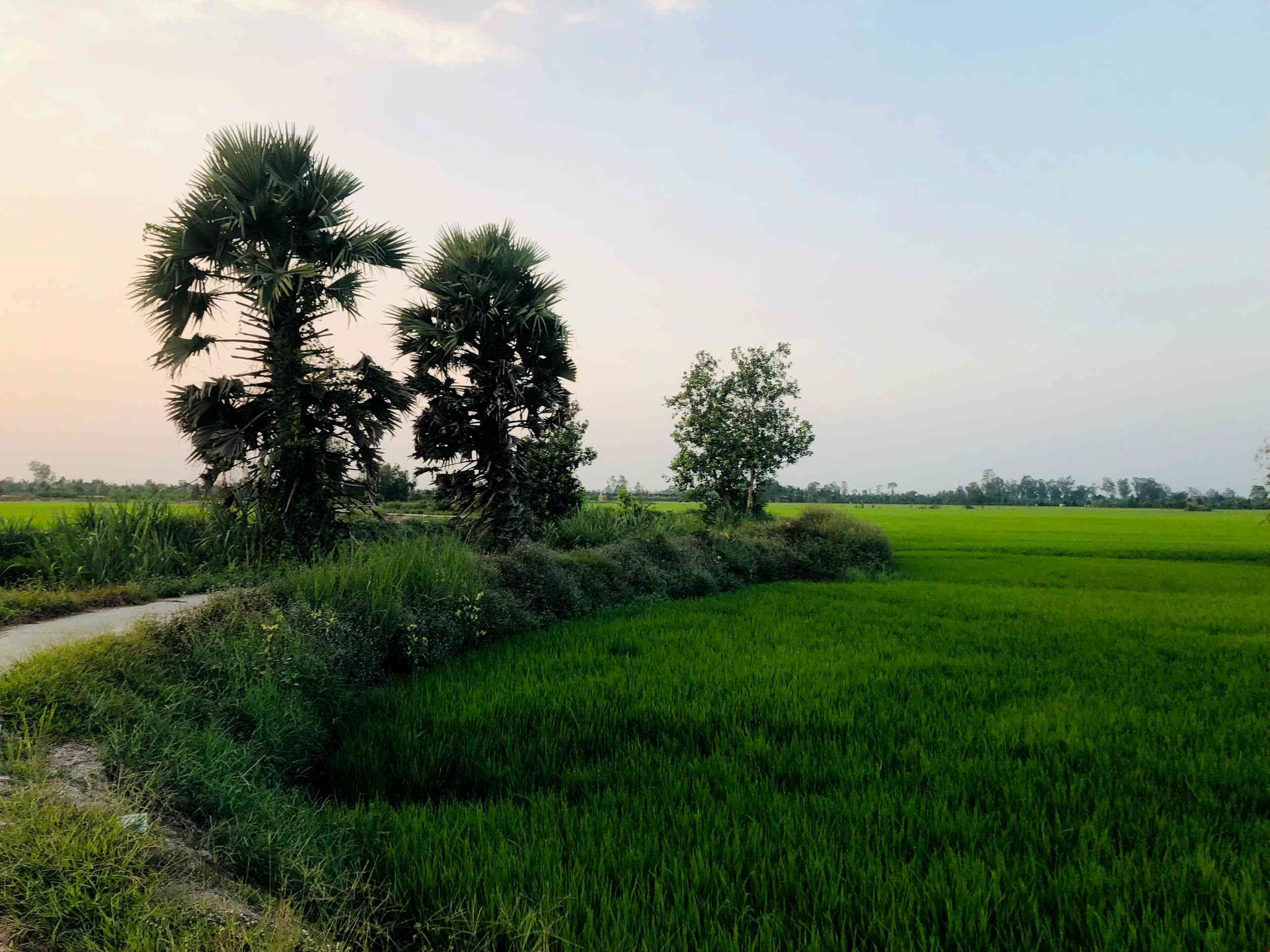 BIKING STUNNING LANDSCAPE 15Km