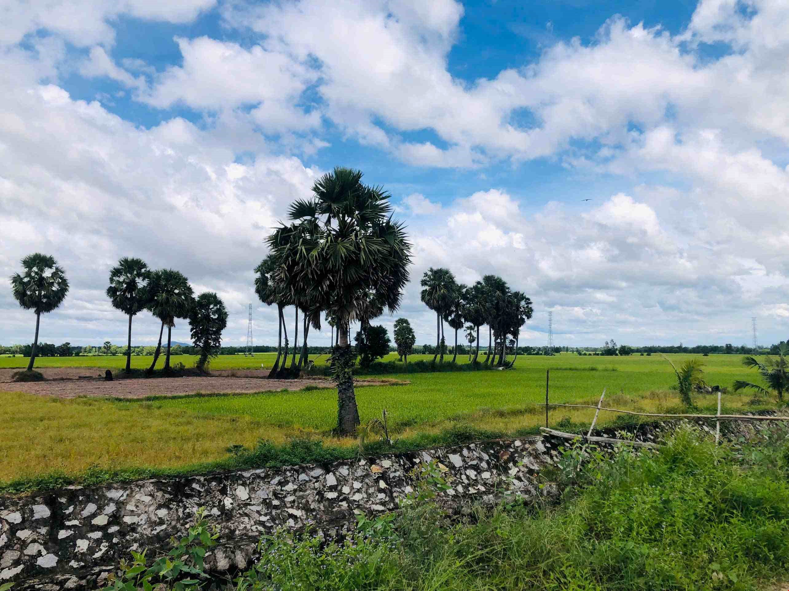 MEKONG ROUTE & PATH CAN THO - LONG XUYEN - CHAU DOC BY BIKE 2D1N