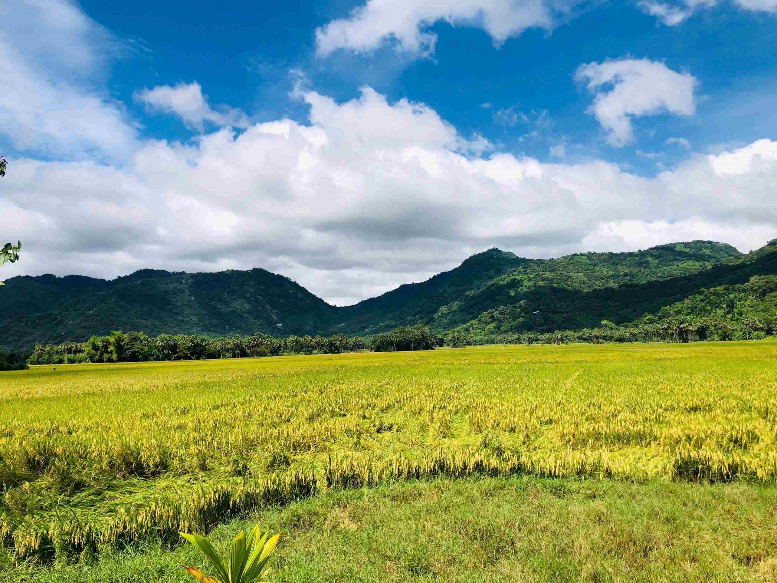 MEKONG ROUTE & PATH CAN THO - LONG XUYEN - CHAU DOC BY BIKE 2D1N