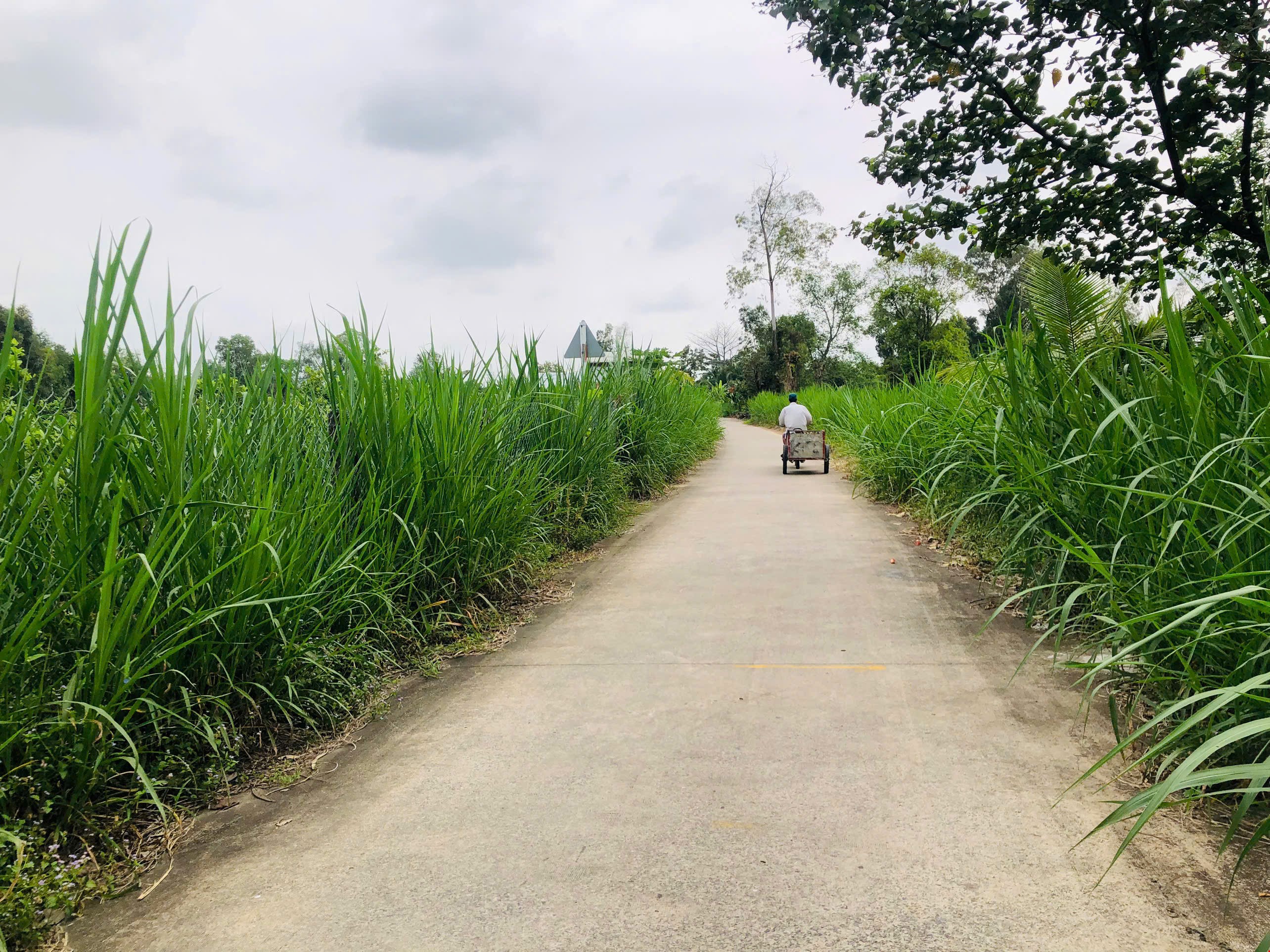 SIGHTSEEING BIKING CAN THO RURAL 18km ( Group Tour)